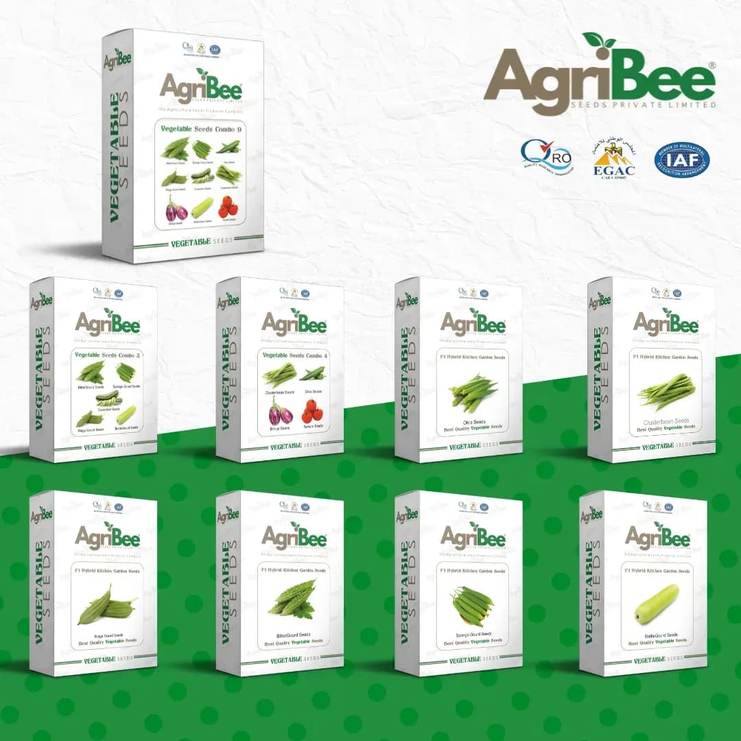 Premium Vegetable Seeds in India: Why Farmers Trust AgriBee Seeds for Higher Productivity