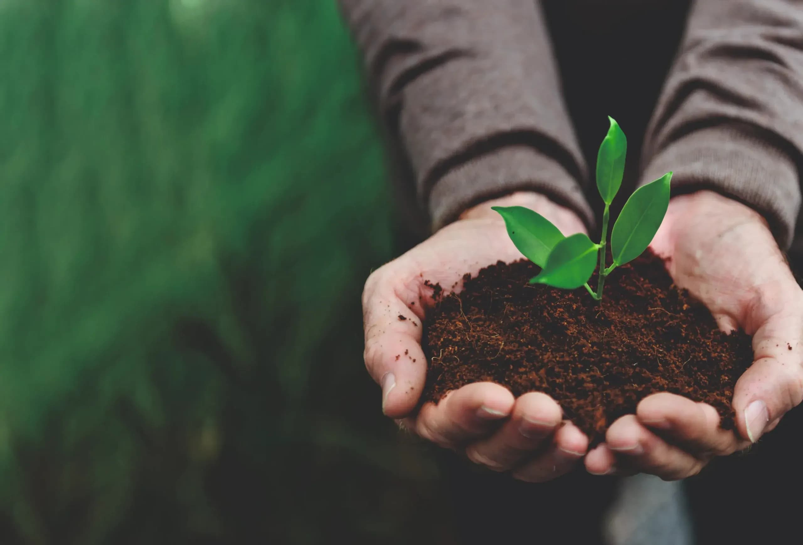 AgriBee Seeds Pvt Ltd – High-Quality Agricultural Seeds for Higher Yields Across India