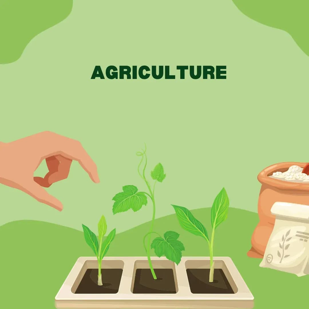 AgriBee Seeds Private Limited