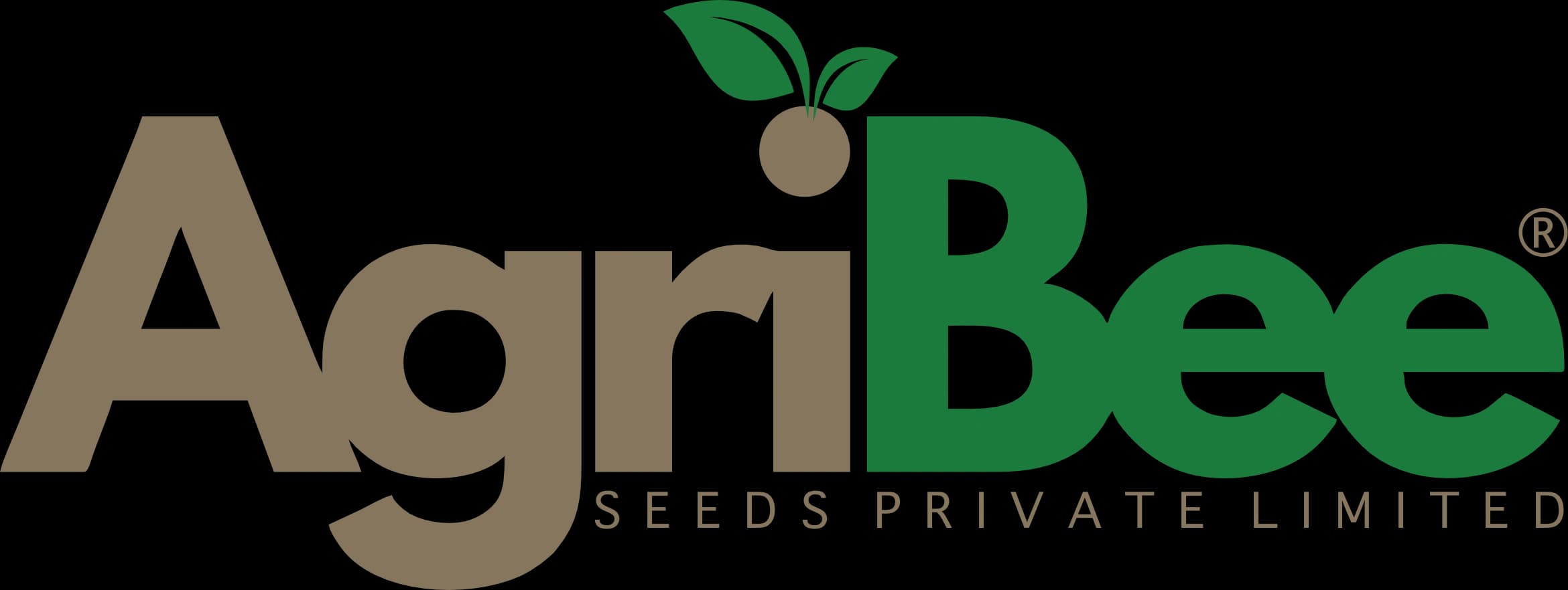 One Complete Guide to Blackgram Farming with AgriBee Blackgram Seeds