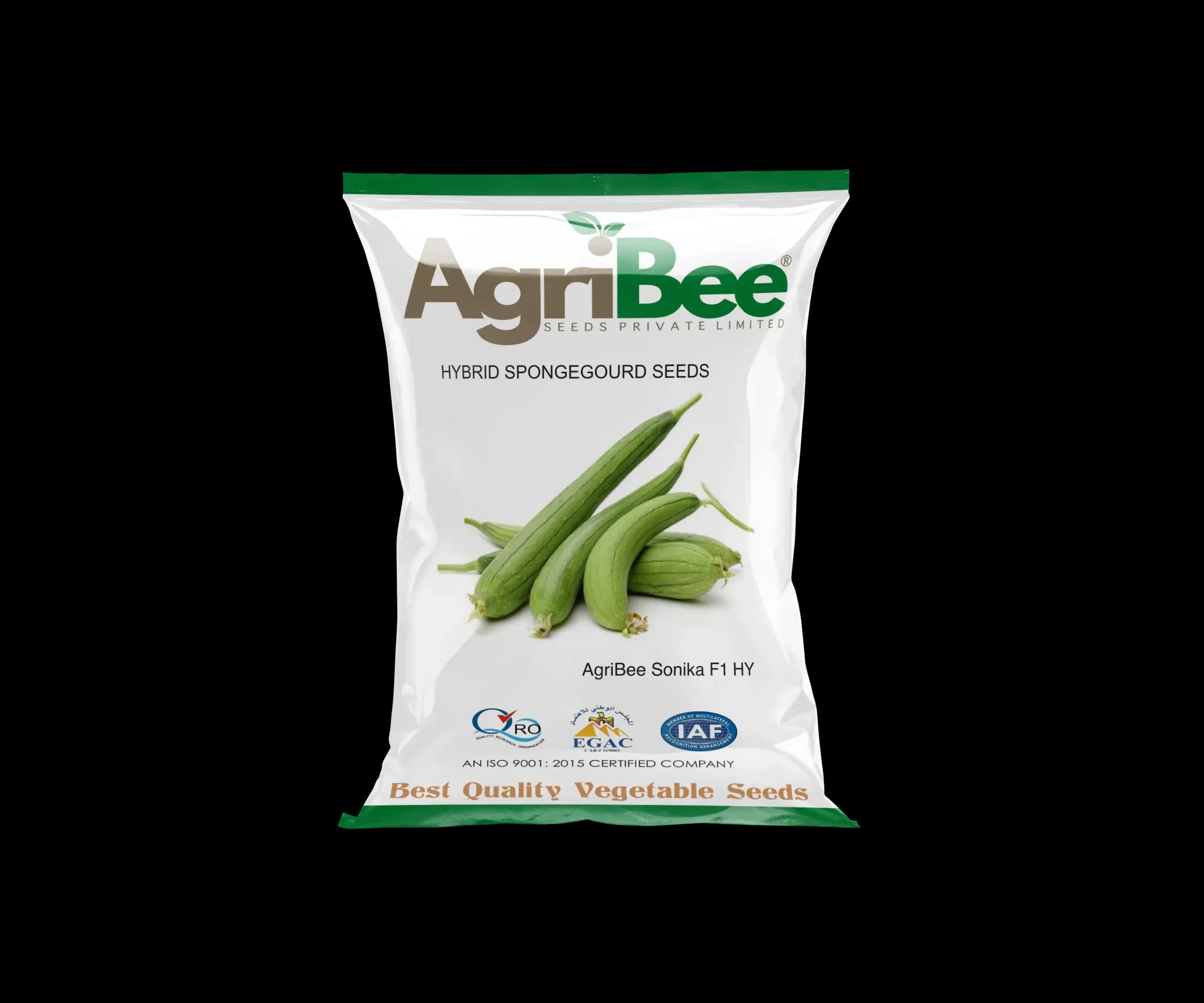 Sponge Gourd Seeds AgriBee Sonika F1 HY