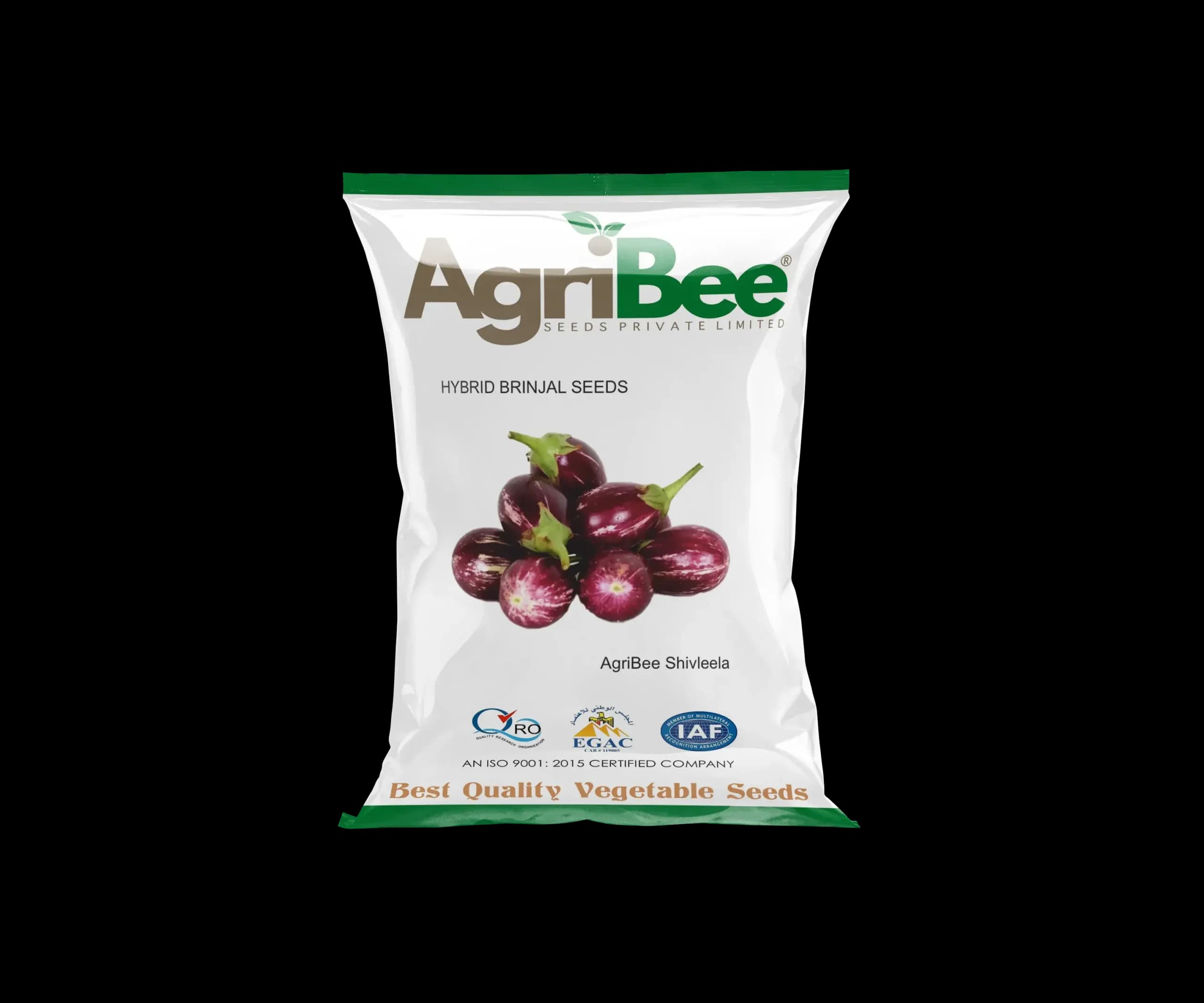 Brinjal Seeds AgriBee Shivleela