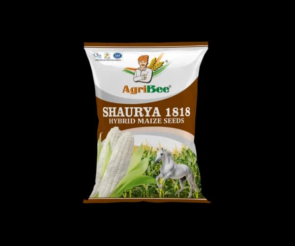 White Maize Shaurya 1818