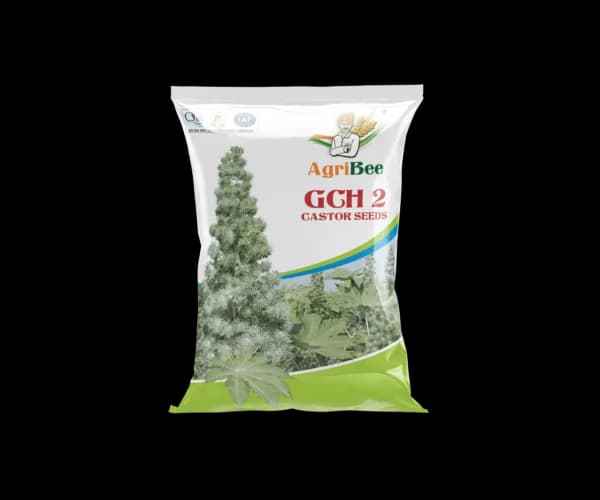Castor Seeds GCH-2