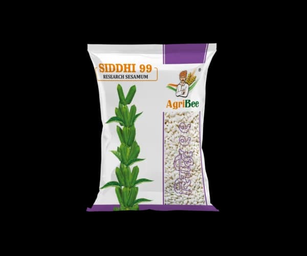 Sesame Siddhi 99
