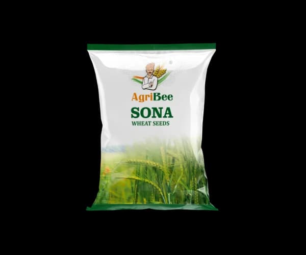Wheat Seeds Sona