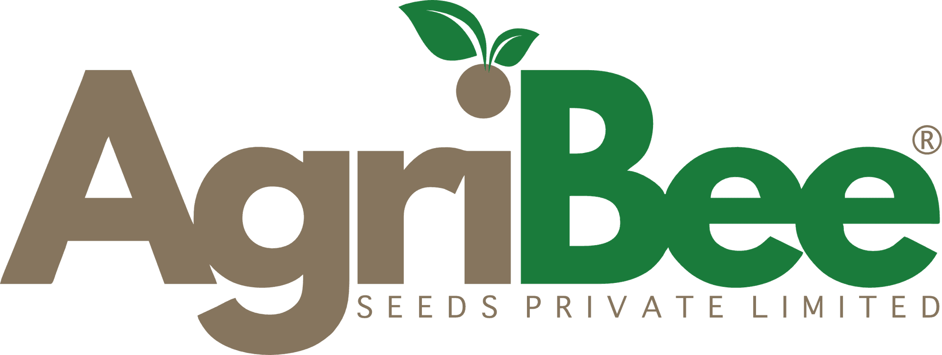 Category: Groundnut Seeds