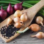 One Complete Guide to Blackgram Farming with AgriBee Blackgram Seeds