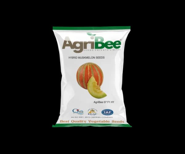Muskmelon Seeds AgriBee Golden 77 F1 HY