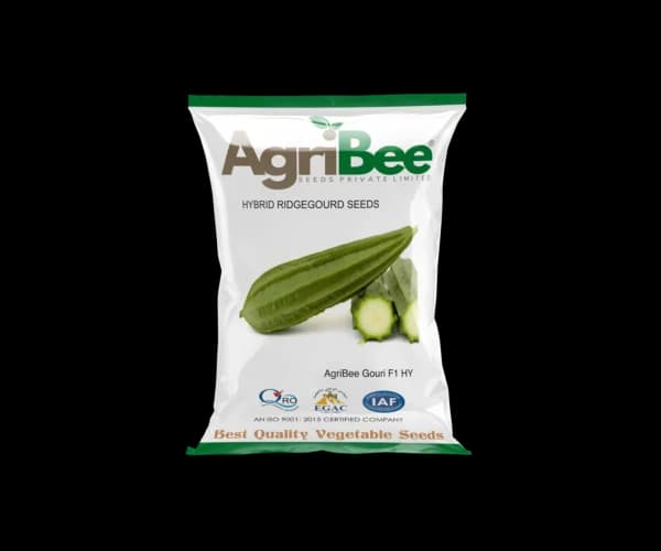 Sponge Gourd Seeds AgriBee Gauri F1 HY