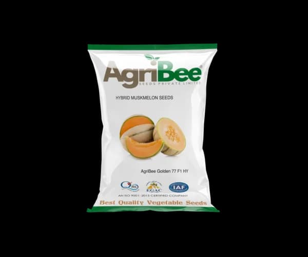 Muskmelon Seeds AgriBee 07 F1 HY