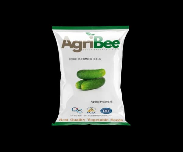 Cucumber Seeds AgriBee Priyanka 45