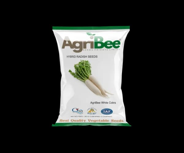 Radish Seeds AgriBee White Cobra