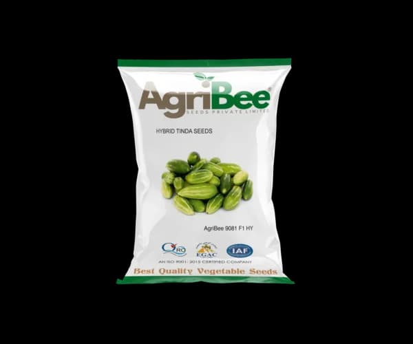 Tinda Seeds AgriBee 9081 F1 HY