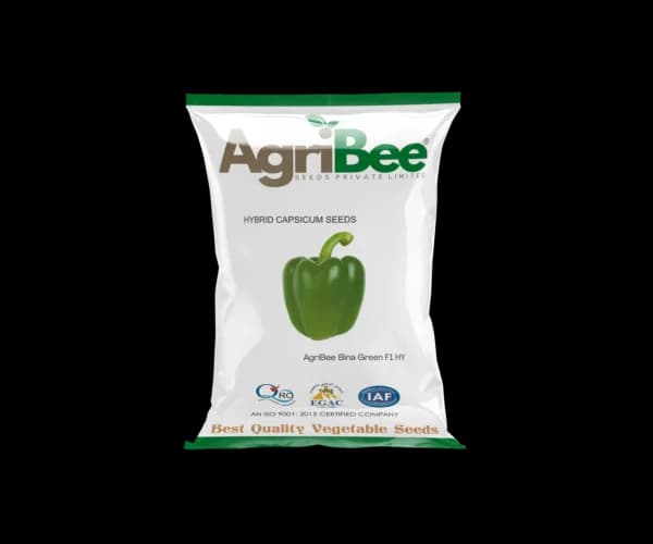 Capsicum Seeds AgriBee Bina Green F1 HY