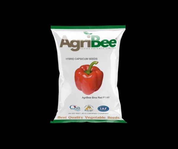 Capsicum Seeds AgriBee Bina Red F1 HY