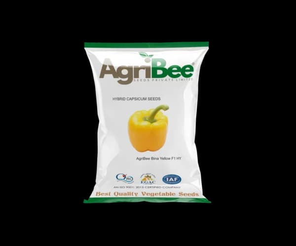 Capsicum Seeds AgriBee Bina Yellow F1 HY