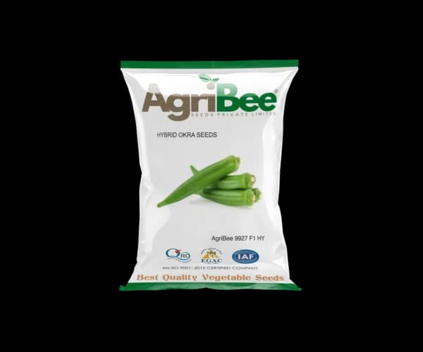 Okra Seeds AgriBee 9927 F1 HY