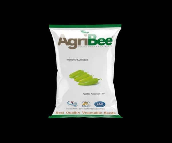Chilli Seeds AgriBee Kareena 99 F1 HY