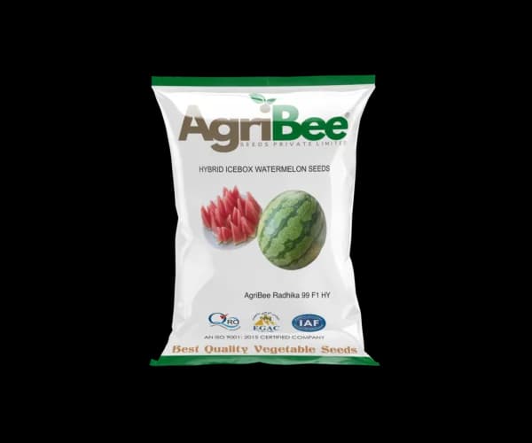 IceBox Seeds AgriBee Radhika F1 HY