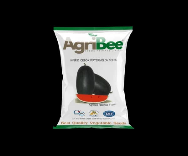 IceBox Seeds AgriBee Radhika 99 F1 HY