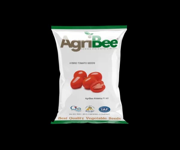 Tomato Seeds AgriBee Abhilekha F1 HY