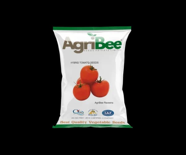 Tomato Seeds AgriBee Raveena