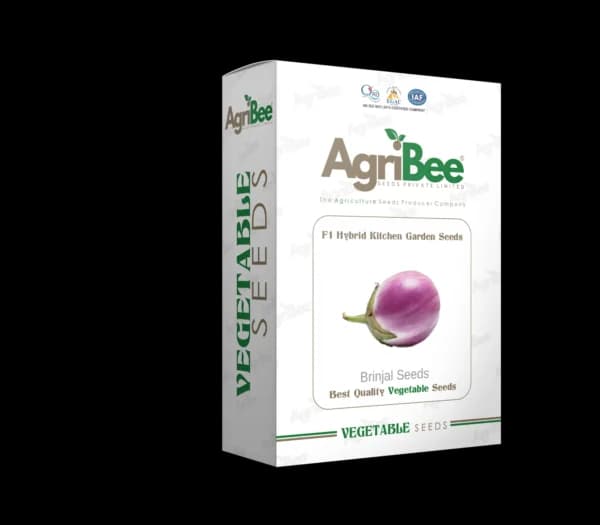 F1 Hybrid Brinjal